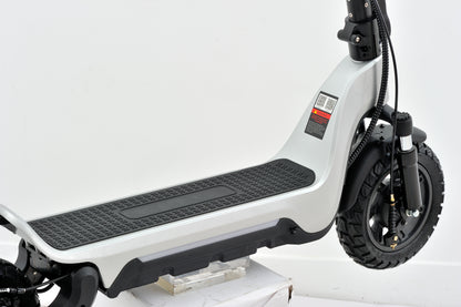 Fouetshot X3 Electric Scooter 800W All Terrain for Off-Road and City Use